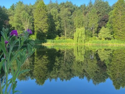 Lake view 1-min